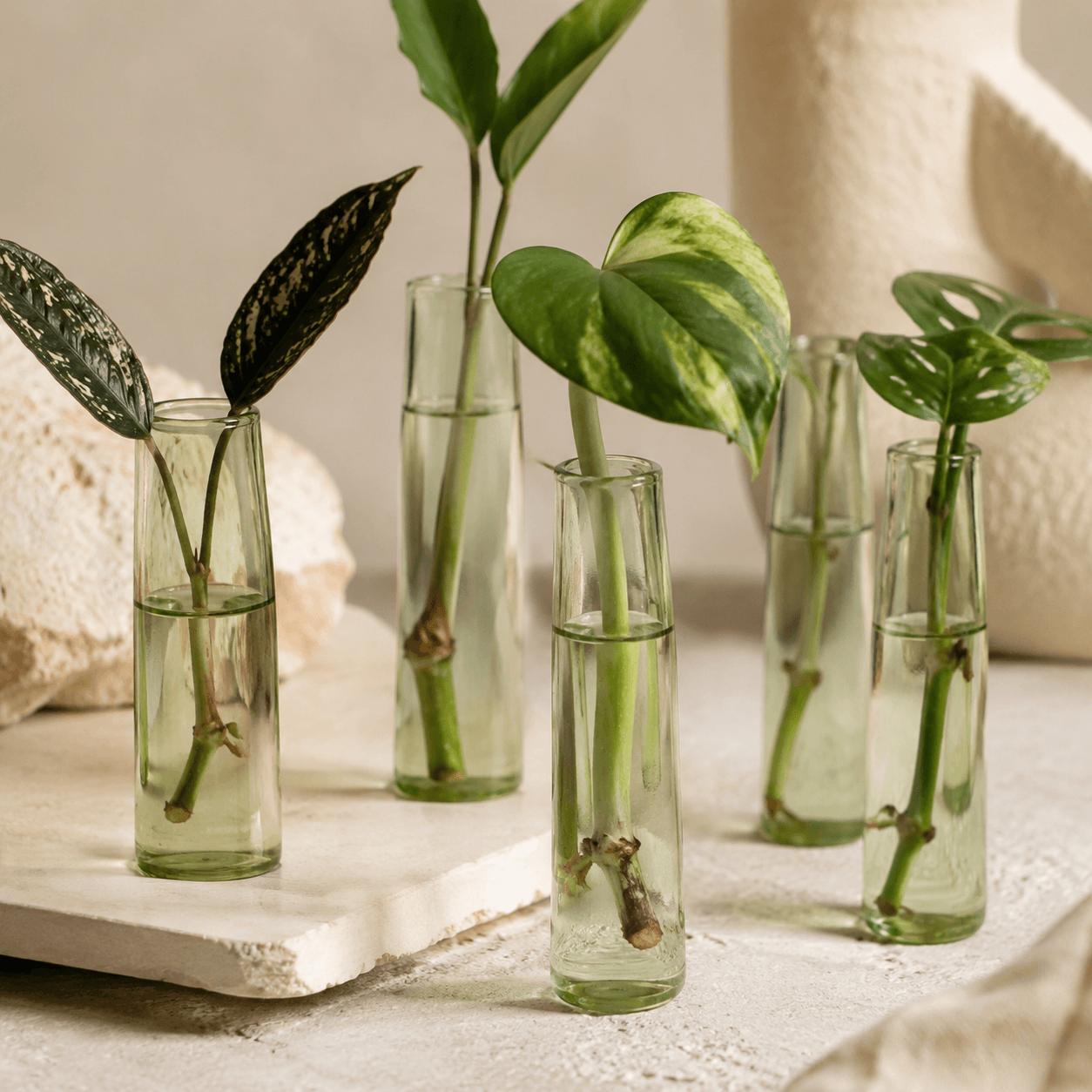 Glass Propagation Vases (Set of 5) view 3