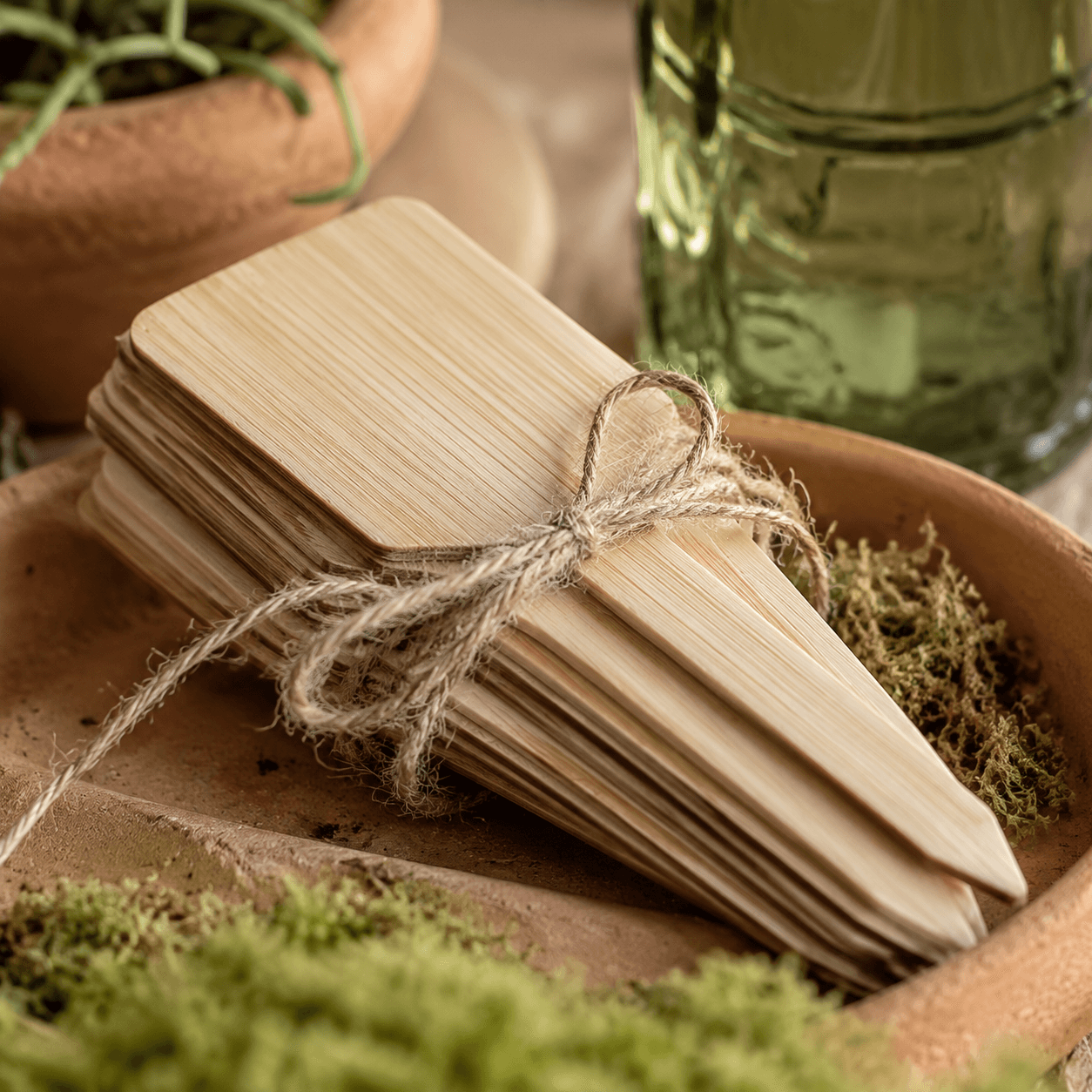 Plant Label Stakes (Pack of 40) view 3