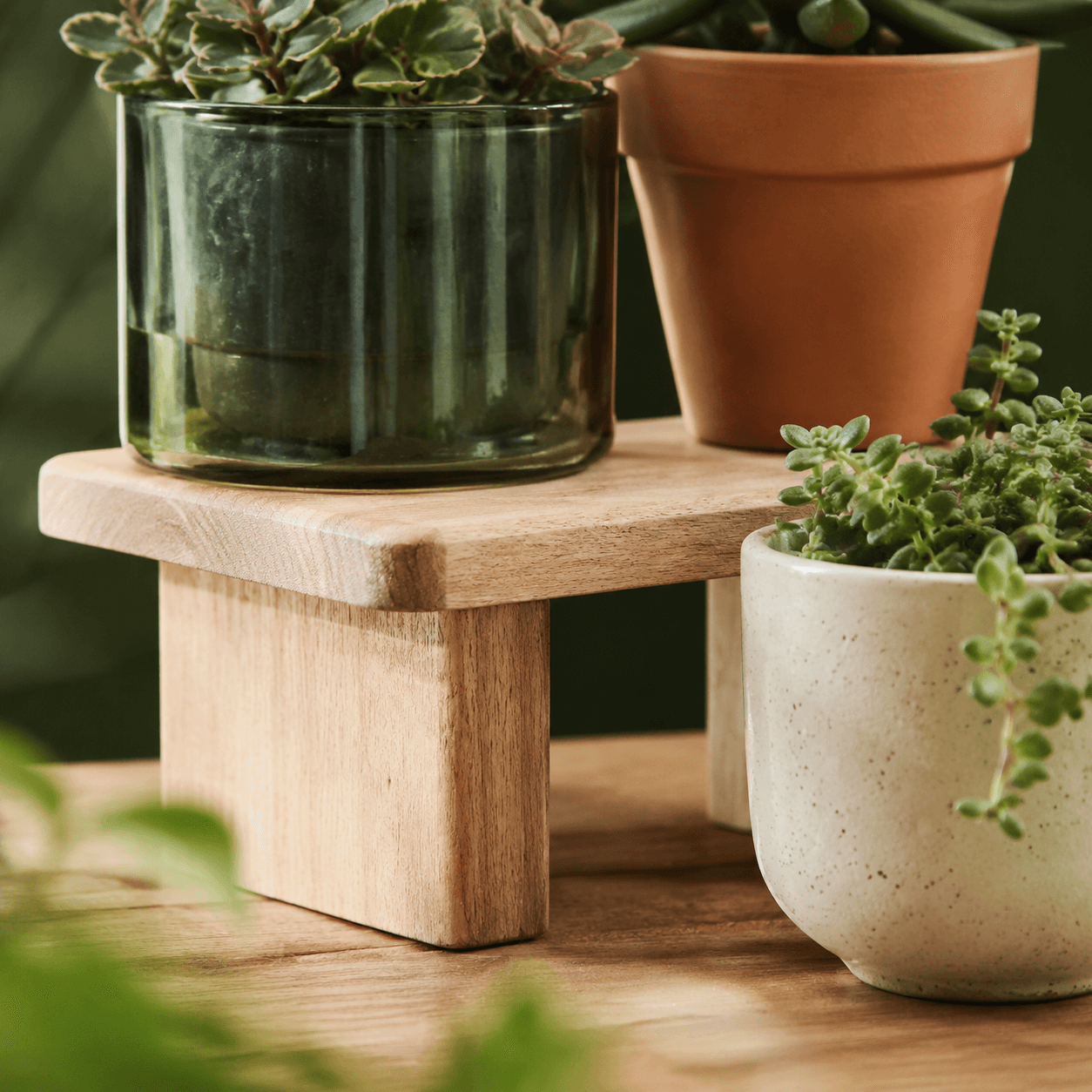 Shelf Riser Stand view 3