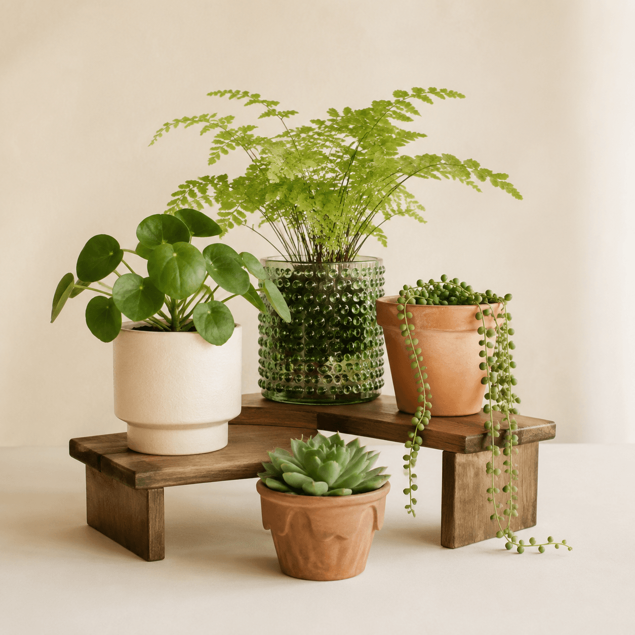 Shelf Riser Stand — A low wooden riser that adds a second tier to a display.