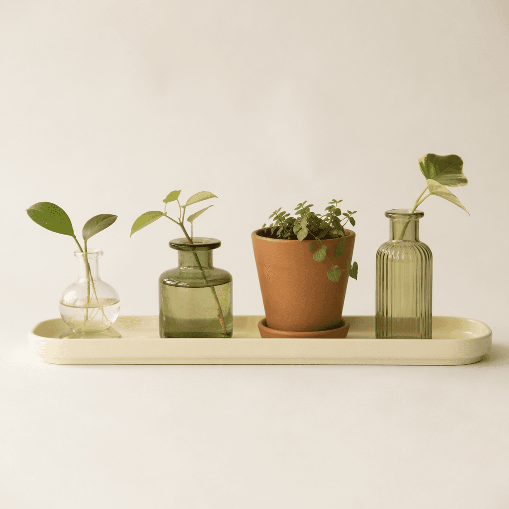 Window Tray — A long, shallow tray that corrals small vessels on a sill.